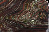 Polished Tiger Iron Stromatolite - ( Billion Years) #64794-1